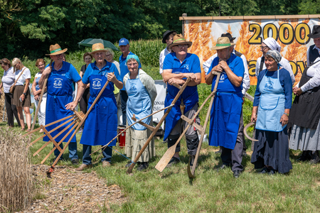 Dobrovnik - 2000 semen - ZETEV 2025-1174697